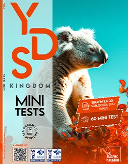 Yds Fest Mini Test